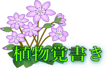 植物覚え書き